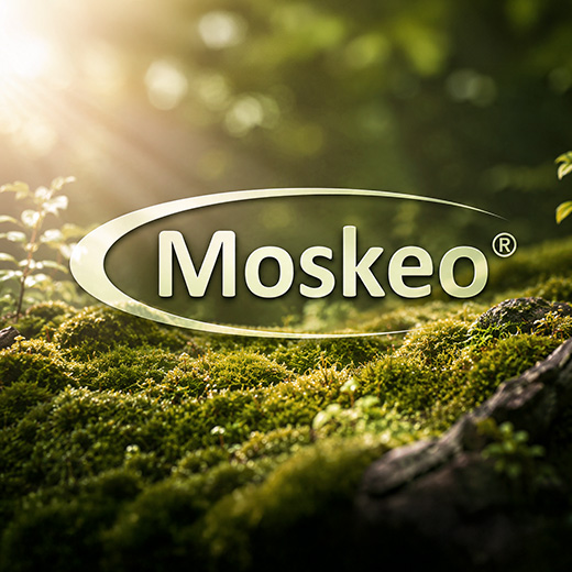 moskeo